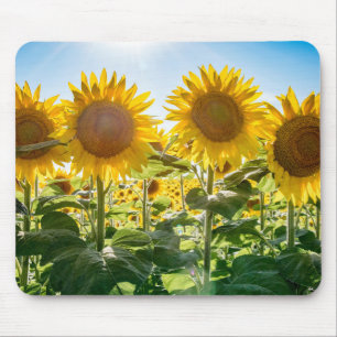 Mousepad Musmatta