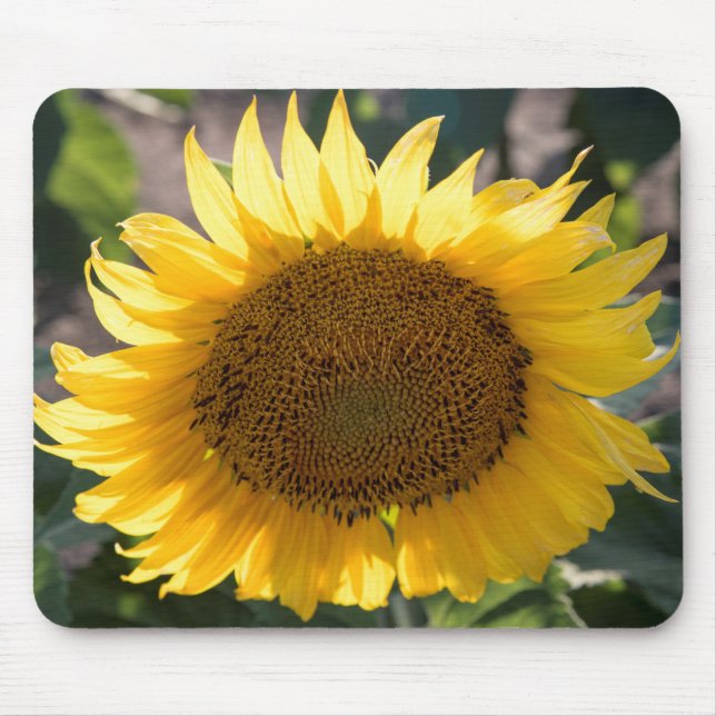 Mousepad Musmatta (Framsidan)