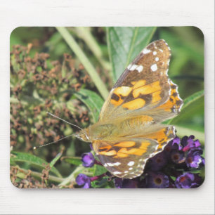 Mousepad - Orange Butterfly on Lila Flower Musmatta