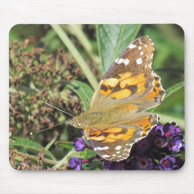 Mousepad - Orange Butterfly on Lila Flower Musmatta (Framsidan)