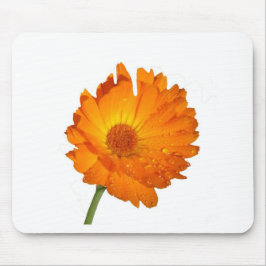 Mousepad - Orange Flower på Stem Musmatta
