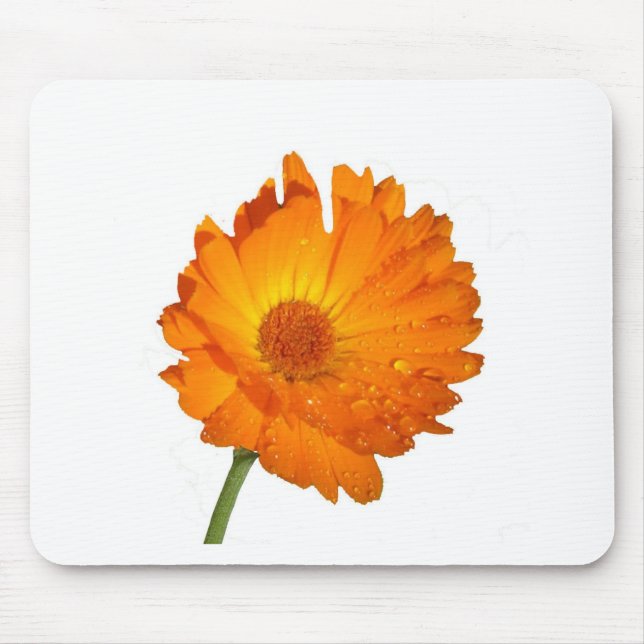 Mousepad - Orange Flower på Stem Musmatta (Framsidan)