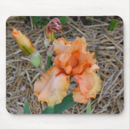 Mousepad - orange Iris Musmatta