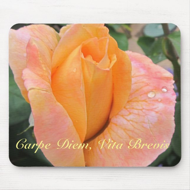 Mousepad--Orange Rose With Raindrops Musmatta (Framsidan)