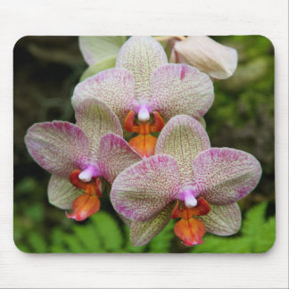 Mousepad - Orchid Musmatta