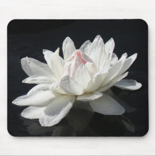 Mousepad, Pappra vita Vatten Lily Musmatta