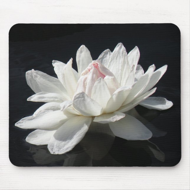 Mousepad, Pappra vita Vatten Lily Musmatta (Framsidan)