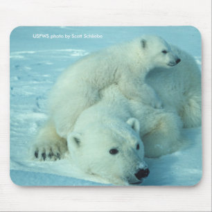 Mousepad/polar björn & unge musmatta