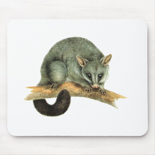 Mousepad - pungråtta musmatta (Framsidan)