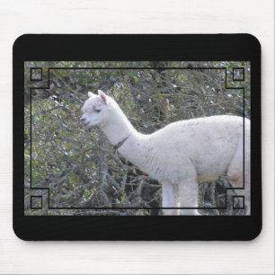 Mousepad - Ram för din bild Musmatta