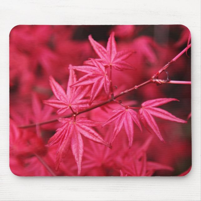 Mousepad-Rött lönnträd Musmatta (Framsidan)