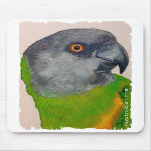 Mousepad - Senegal papegoja Musmatta