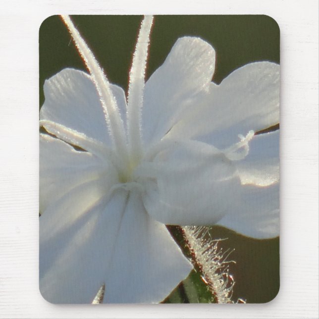 Mousepad shiny white blomma musmatta (Framsidan)