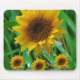 Mousepad Solros Musmatta