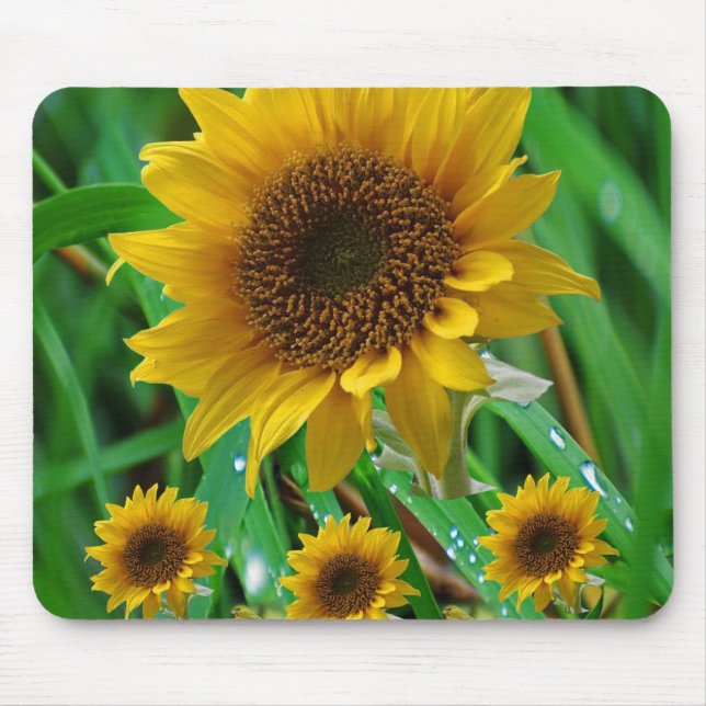 Mousepad Solros Musmatta (Framsidan)