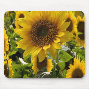 Mousepad Solros Musmatta