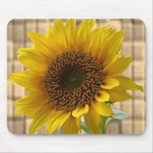 Mousepad Solros Musmatta