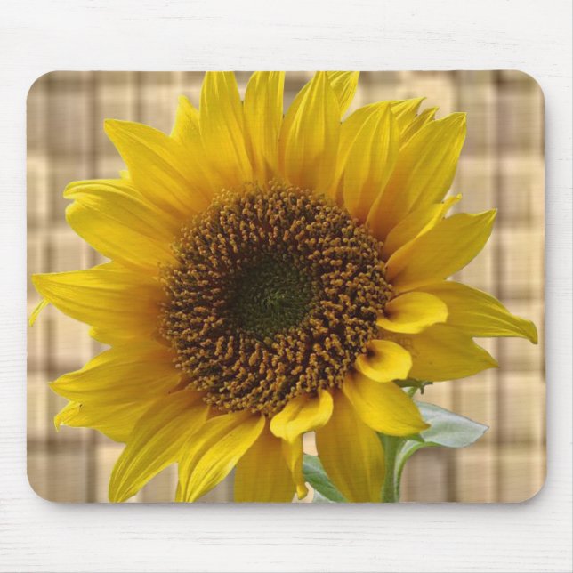 Mousepad Solros Musmatta (Framsidan)