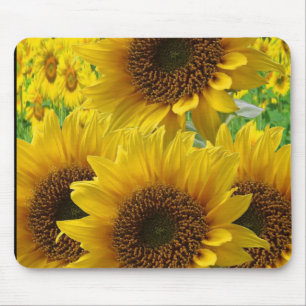 Mousepad Solros Musmatta