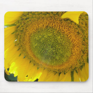 Mousepad: Solrosblomma Musmatta