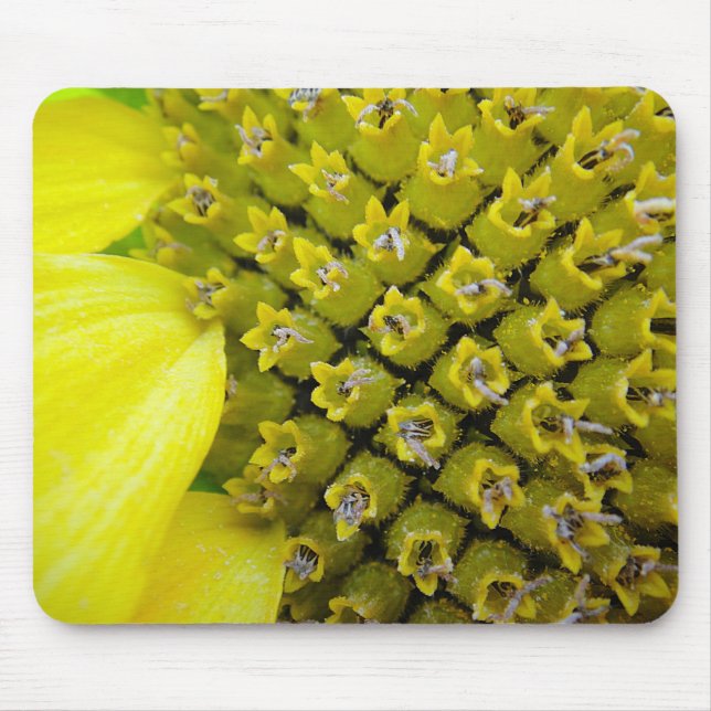 Mousepad Sonnenblumenblütchen Musmatta (Framsidan)