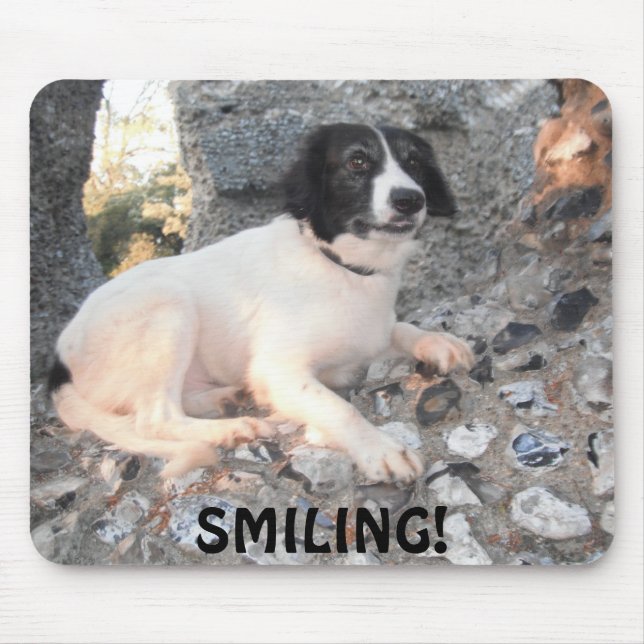 Mousepad Sprollie Visiting Castle Smiling Musmatta (Framsidan)