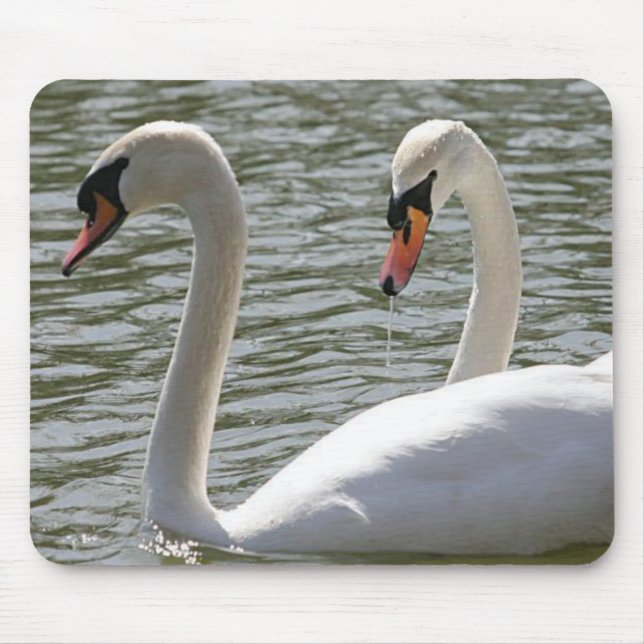Mousepad Svan Musmatta (Framsidan)