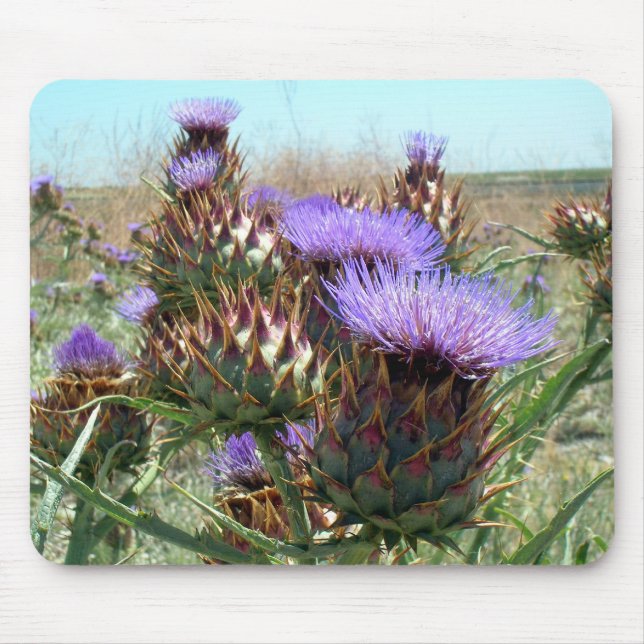 Mousepad - Thistle Musmatta (Framsidan)