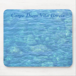 Mousepad--Tidebassäng Musmatta