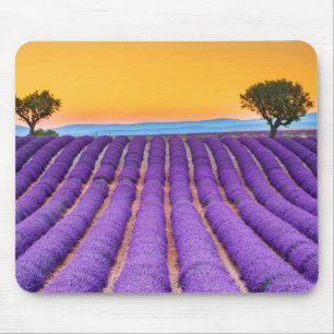 Mousepad Valensole-Provence Frankrike Musmatta