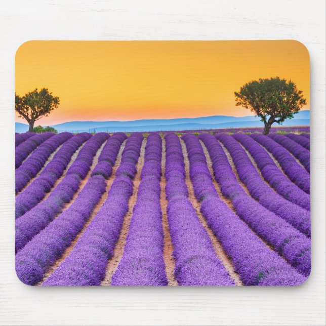 Mousepad Valensole-Provence Frankrike Musmatta (Framsidan)