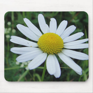 Mousepad weisse Margeritenblüte Musmatta