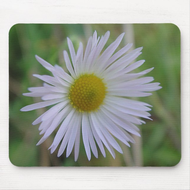Mousepad weisse Wildblüte Musmatta (Framsidan)