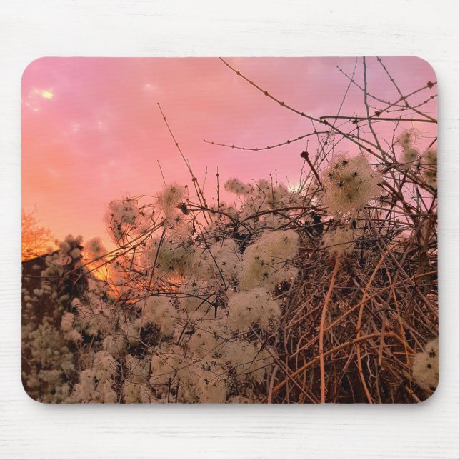 Mousepad Winter sunset och Clematis Vines Musmatta (Framsidan)