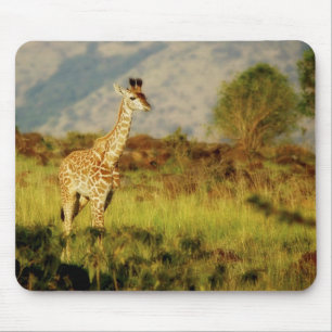 Mousepads för babygiraffdjurliv musmatta