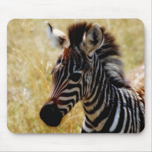 Mousepads för sebraföldjurliv musmatta