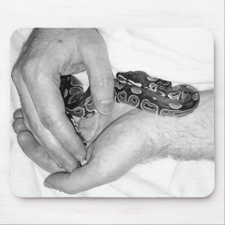 Mouser pad! Baby Nova morph BP i händer Musmatta