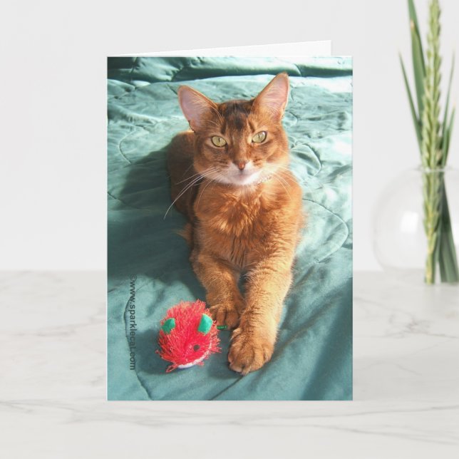 Mousey Catmas julkort Helgkort (Framsida)