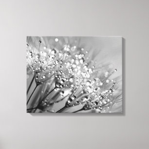 Mousserande Dew Dandelion Silver Grått Background Canvastryck