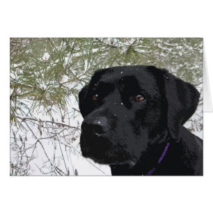 Mousserande Gräs - Snö Labrador - Svart lab Hälsningskort