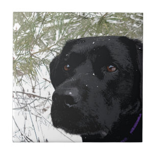 Mousserande Gräs - Snö Labrador - Svart lab Kakelplatta