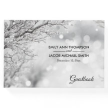 Mousserande Snö och isvinterbröllop