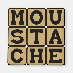 Moustache ansikts- hår magnet