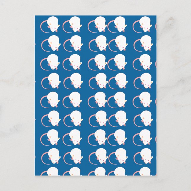 mousyb vykort (Framsida)