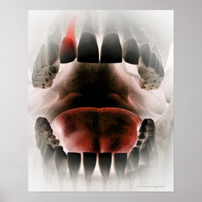 Mouth Poster (Framsidan)