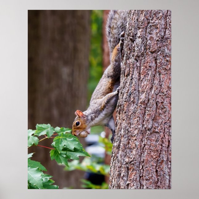 Mouthful Poster (Framsidan)