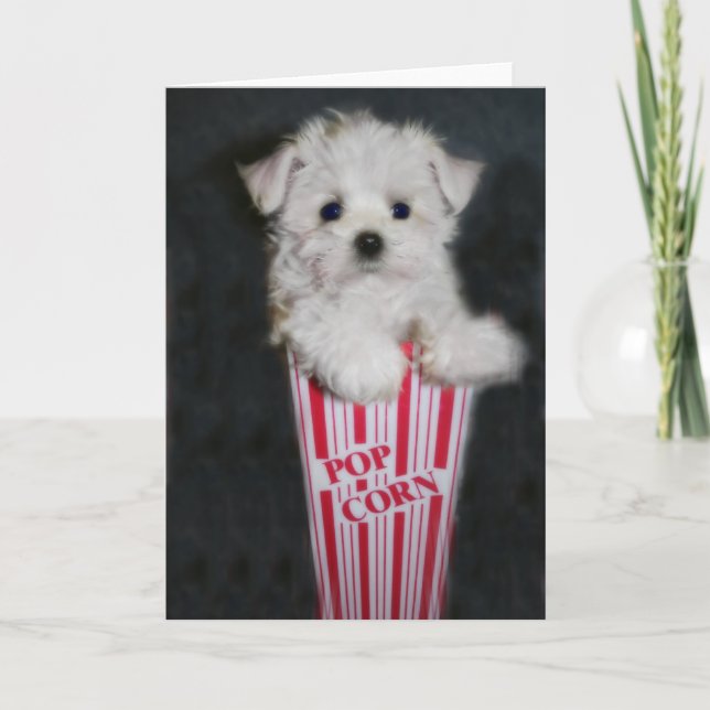 Movie Night Hälsning Kort (Framsida)