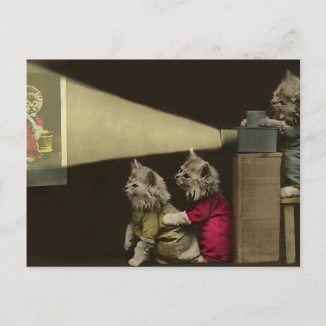 Movie Night Vykort (Framsida)