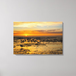 Möwen im Sonnenuntergang Canvastryck