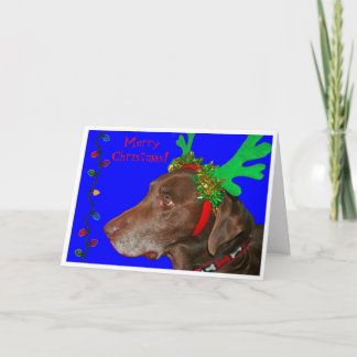 Moxie 20103, god jul! helgkort